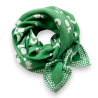 Grand foulard Apaches Latika Cool - Perroquet