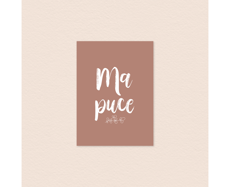 Carte ma puce