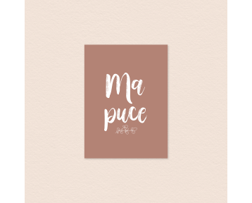 Carte ma puce