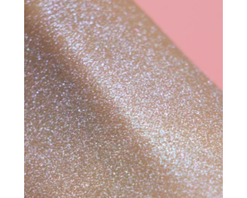 Spray poudre pailletée holo - Sisi la paillette