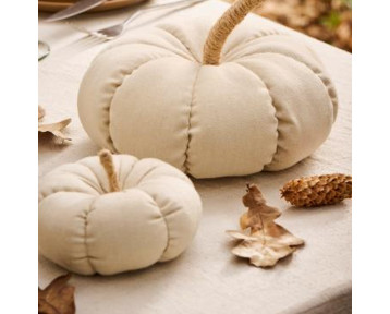 Citrouille coton