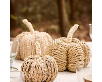 Citrouille jute