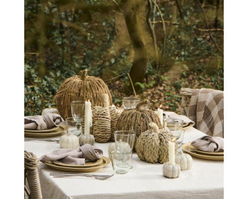 Citrouille jute
