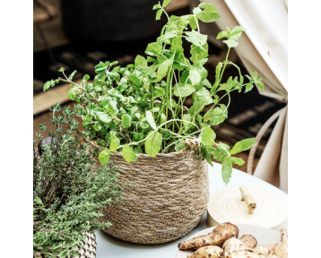 Panier Hang Nature