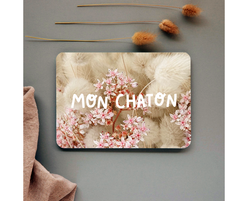 Carte mon chaton