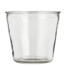 Pot transparent pour plantes