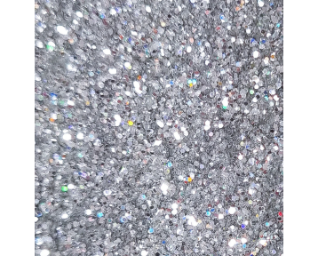 Paillettes Holo Argenté Standard