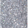 Paillettes Holo Argenté Standard