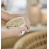 Brosse bain altum