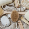 Brosse bain altum