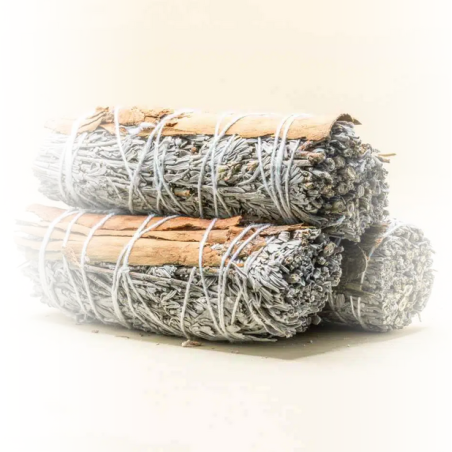 Bâtons de Fumigation – Herbes à Brûler pour Purifier et Harmoniser